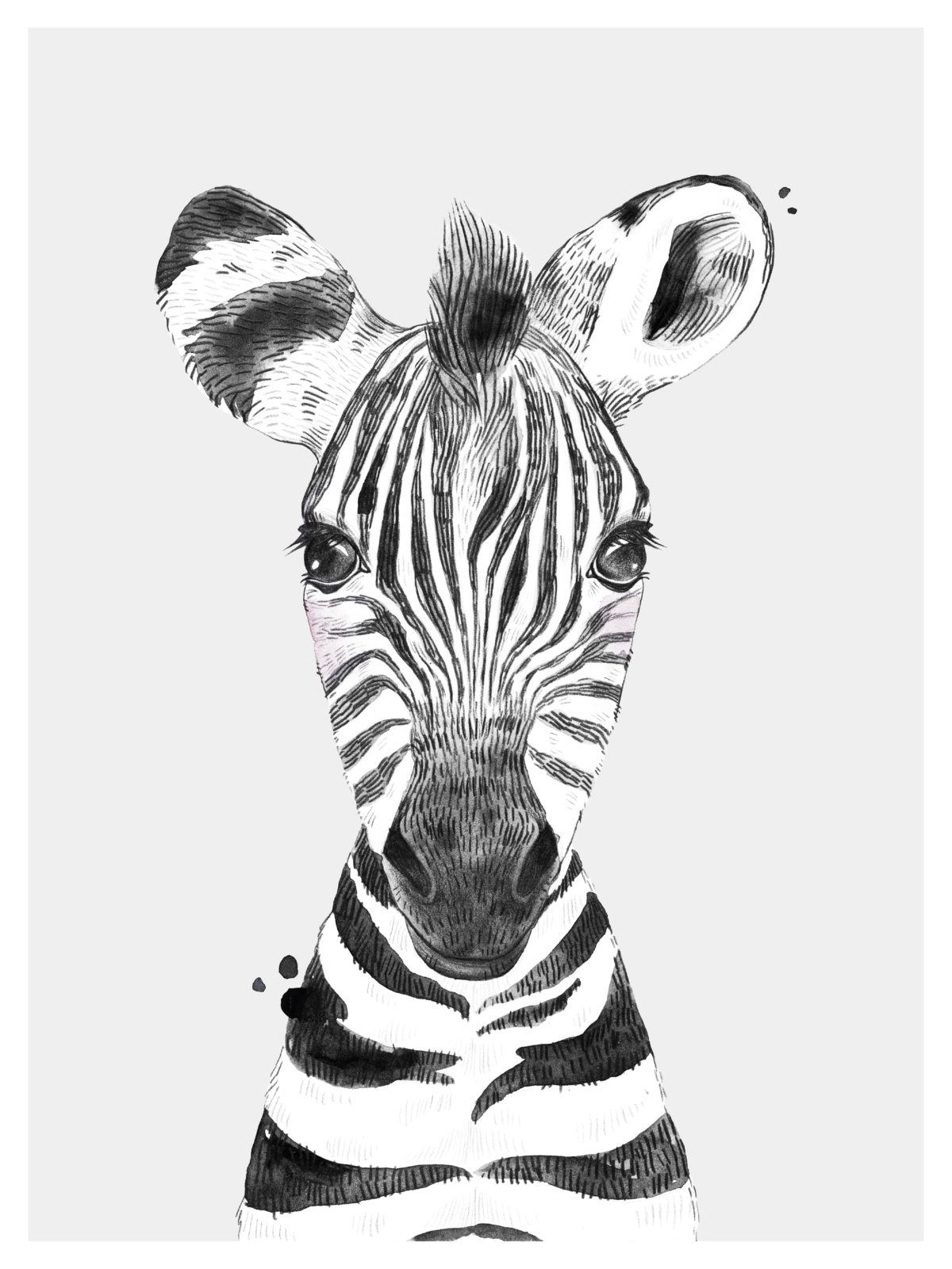 Poster zebra, safari dieren verschillende formaten posters | imints