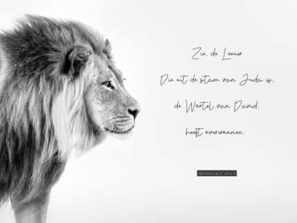 christelijke posters de leeuw van juda