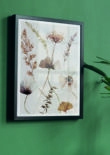 interieur poster droogbloemen