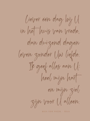 Christelijke poster met de tekst: Huis van vrede van Sela