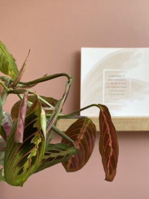 Magneetsticker afgeronde rechthoek 58x98cm caramel close up met fotohouder