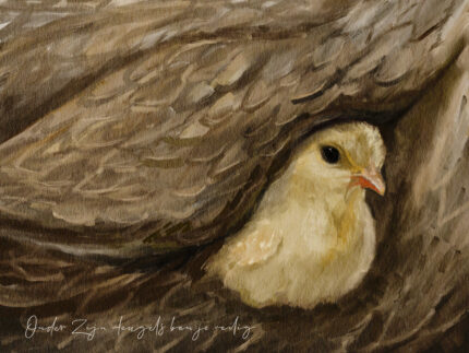 Christelijke Poster 'onder Mijn Vleugels Ben Je Veilig'